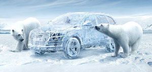 Запуск двигателя автомобиля в мороз имеет серьезные негативные последствия. Решить эту проблему поможет предпусковой подогрев двигателя Webasto либо Eberspacher